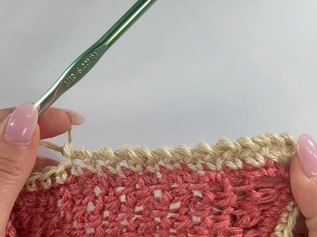 Crochet border tutorial — illustrated for this guide