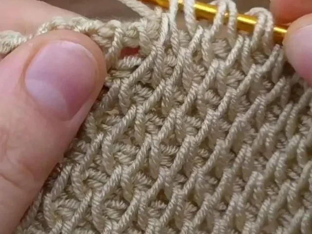 Tunisian crochet stitch tutorial — illustrated for this guide