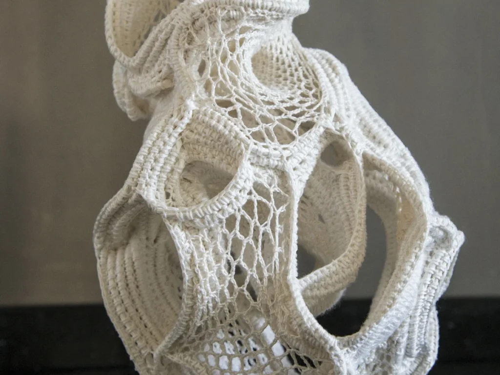 Image showing Sculptural Crochet